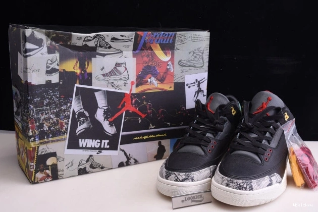 Rep TBkick Air Jordan SE Retro Instinct 2.0 CV3583-003 3 - Animal 0707
